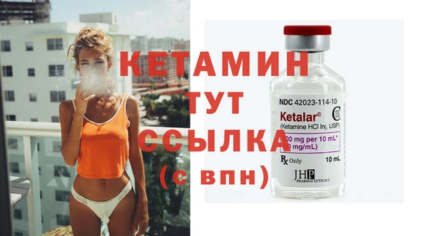гашик Пересвет