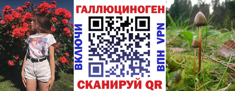 Галлюциногенные грибы MAGIC MUSHROOMS  Павловская 